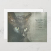 Carte de condoléances Chat - Noir - Sympathy Card (Devant / Derrière)