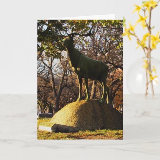 Carte de condoléances "Elks Rest" (Fleur jaune)