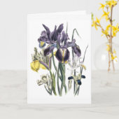 Carte de condoléances Iris aquarelle mise à jour (Fleur jaune)