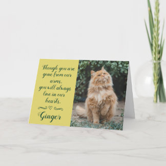 Carte de condoléances pour perte de chat personnal