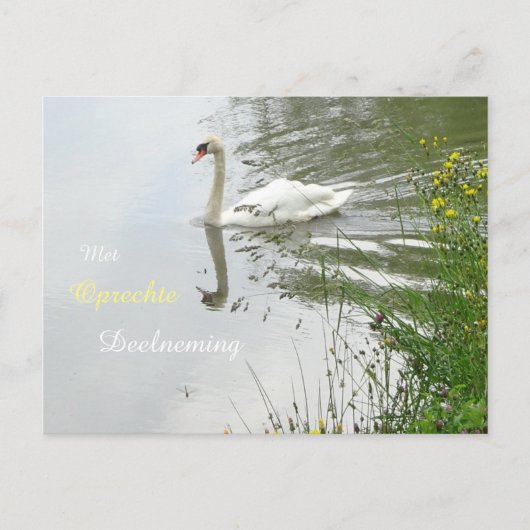 Carte de condoléances Serene Swan & Dragonfly (Devant)