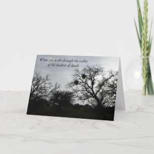 Carte de confort Inspiration : Chênes contre ciel 