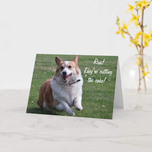 Carte de corgi (Fleur jaune)
