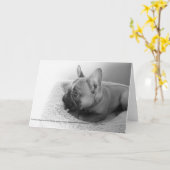 Carte de correspondance (Fleur jaune)