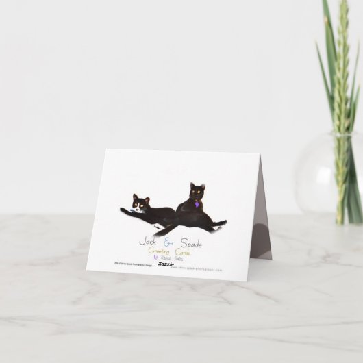 Carte de correspondance (Dos)