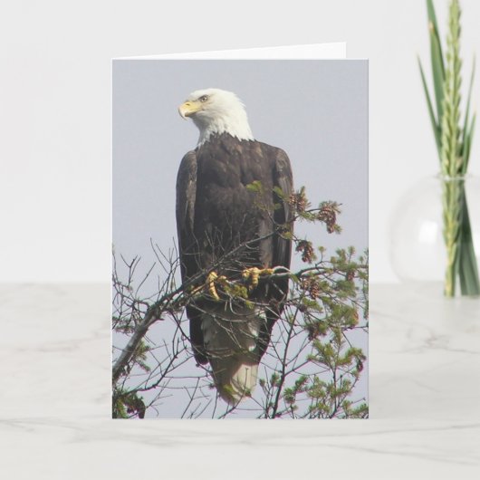 Carte de correspondance (Devant)