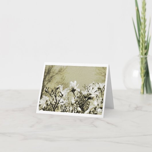 Carte de correspondance (Devant)