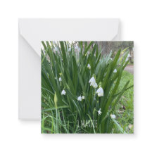 1Carte de note Martie