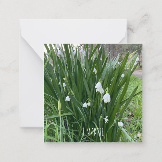 Carte De Correspondance 1Carte de note Martie (Devant)