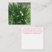 Carte De Correspondance 1Carte de note Martie (Devant / Derrière)