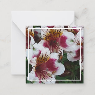 Carte De Correspondance Abeille de miel et Alstromerias