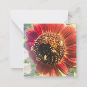 Carte De Correspondance Abeille unique