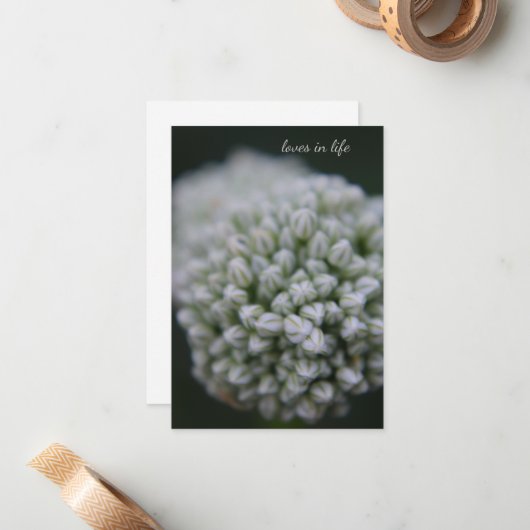 Carte De Correspondance Allium blanc (Devant/Arrière en situation)