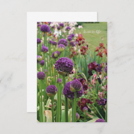 Carte De Correspondance Allium & Iris Lit Fleur (Devant / Derrière)