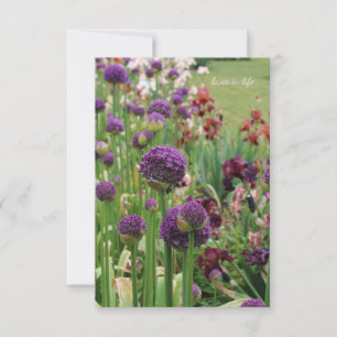 Carte De Correspondance Allium & Iris Lit Fleur