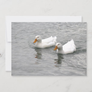 Carte De Correspondance Amis