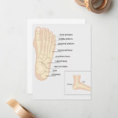 Carte De Correspondance Anatomie du pied humain (Devant/Arrière en situation)