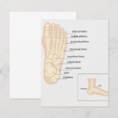 Carte De Correspondance Anatomie du pied humain (Devant / Derrière)