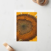 Carte De Correspondance Antennes d'abeilles et tournesol (Devant/Arrière en situation)