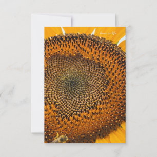 Carte De Correspondance Antennes d'abeilles et tournesol