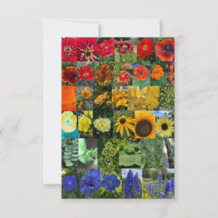 Carte De Correspondance Arc-en-ciel de Fleurs