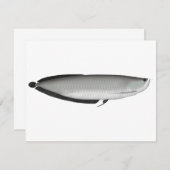 Carte De Correspondance Argent Arowana (Devant / Derrière)