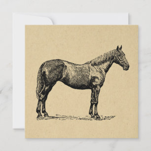 Carte De Correspondance Art Cheval vintage Illustré Art équestre