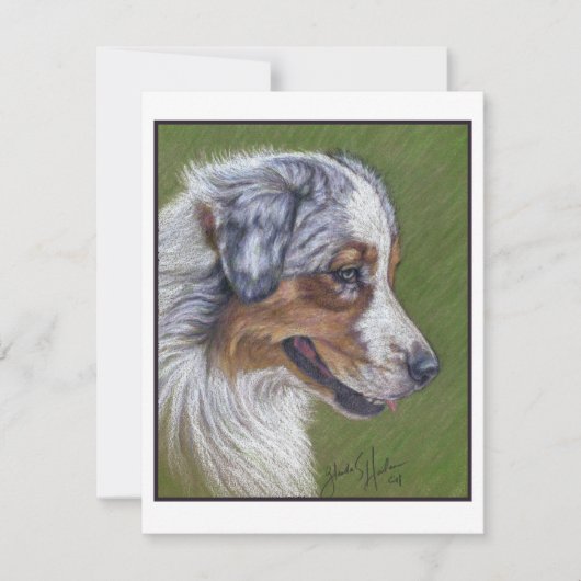 Carte De Correspondance Australian Shepherd, Blue Merle, (Devant)