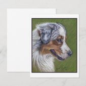 Carte De Correspondance Australian Shepherd, Blue Merle, (Devant / Derrière)