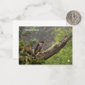 Carte De Correspondance Automne - Faucon pèlerin (Devant/Arrière en situation)