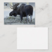 Carte De Correspondance Automne - Oie (Devant / Derrière)