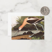 Carte De Correspondance Avocet américain par John James Audubon (Devant/Arrière en situation)