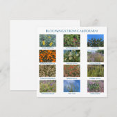 Carte De Correspondance aWorld2Celebrate: FLEURS DE CALIFORNIE ! (Devant / Derrière)