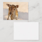 Carte De Correspondance Baby Deer (Devant / Derrière)