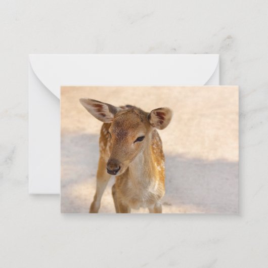Carte De Correspondance Baby Deer (Devant)