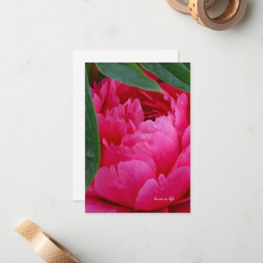 Carte De Correspondance Bashful Pink Peony (Devant/Arrière en situation)