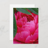 Carte De Correspondance Bashful Pink Peony (Devant / Derrière)