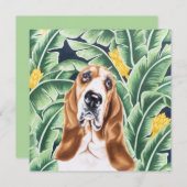 Carte De Correspondance Basset Hound (Devant / Derrière)