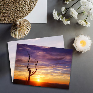 Carte De Correspondance Beau Coucher de soleil de montagne avec arbre Natu