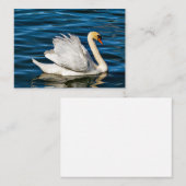 Carte De Correspondance Beau cygne blanc (Devant / Derrière)