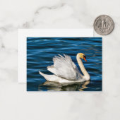 Carte De Correspondance Beau cygne blanc (Devant/Arrière en situation)