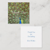 Carte De Correspondance Beau Merci paon majestueux (Devant / Derrière)