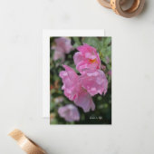Carte De Correspondance Beau Roses rose pâle (Devant/Arrière en situation)