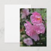 Carte De Correspondance Beau Roses rose pâle (Devant / Derrière)