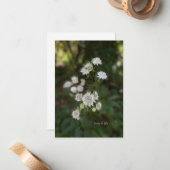 Carte De Correspondance Belle Fleur d'été blanche (Devant/Arrière en situation)
