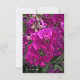 Carte De Correspondance Belle Plage Pois Doux