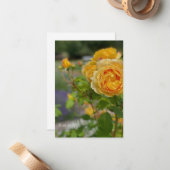 Carte De Correspondance Belle Rose Jaune (Devant/Arrière en situation)