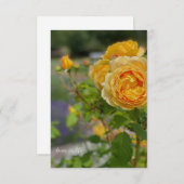 Carte De Correspondance Belle Rose Jaune (Devant / Derrière)