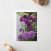 Carte De Correspondance Belles Alliums (Devant/Arrière en situation)