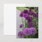 Carte De Correspondance Belles Alliums (Devant / Derrière)